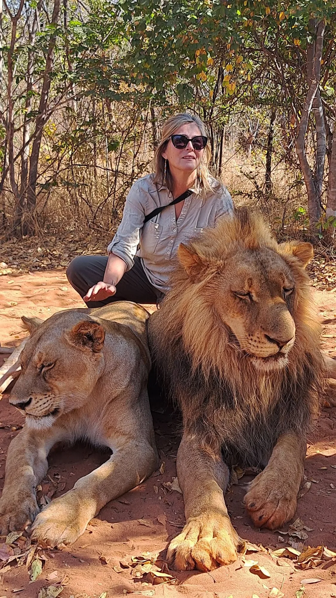 Terra seated near two resting lions during her travels in Africa